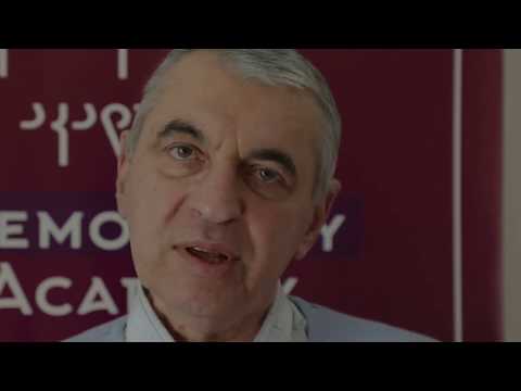 დემოკრატიის ვირტუალური აკადემია - დავით ზურაბიშვილი